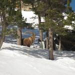 © Rando raquettes - Horizons - La Grave - @P.morillon