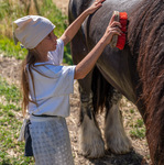 © Ferme pédagogique et traditions alpines - Alpes Photographies