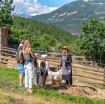 © La petite ferme des regains - Alpes Photographies